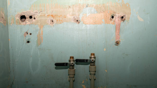 Best Water damage contractors near me  in Timberlake, VA